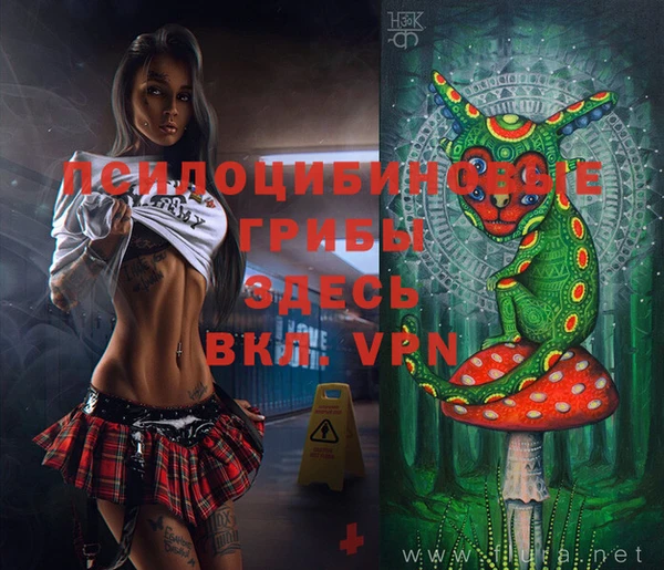 ECSTASY Бронницы